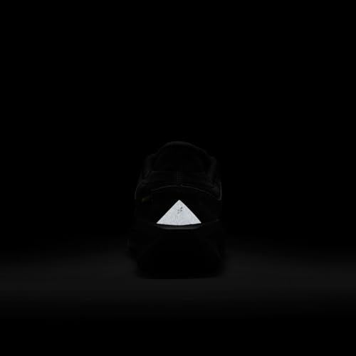 GORE-TEX Nike Winflo 11