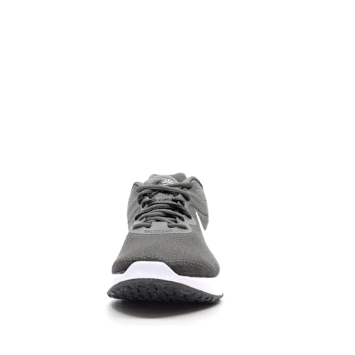 Nike Men's Revolution 5 Flyease Running Shoe, Iron Grey White Smoke Grey Black Lt Smoke Grey, 8.5