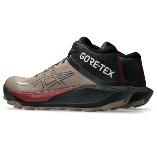 ASICS Men's Gel-Trabuco MT GTX Running Shoes, 10, Taupe Grey/Graphite Grey