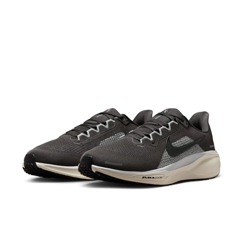 Nike Men's Pegasus 41 Medium Ash/Black/Pure Platinum 9.5 Medium