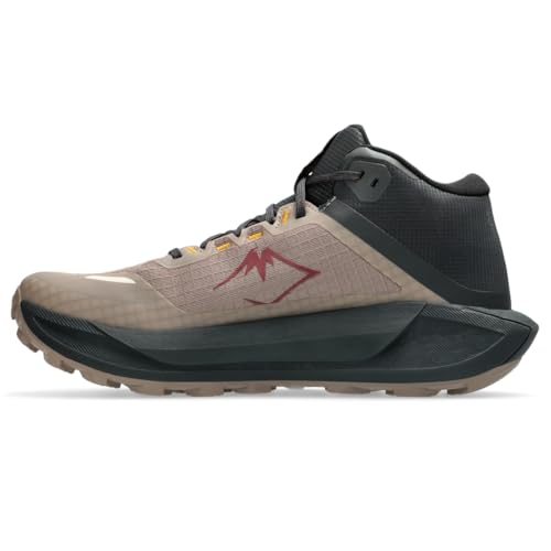 ASICS Men's Gel-Trabuco MT GTX Running Shoes, 10, Taupe Grey/Graphite Grey