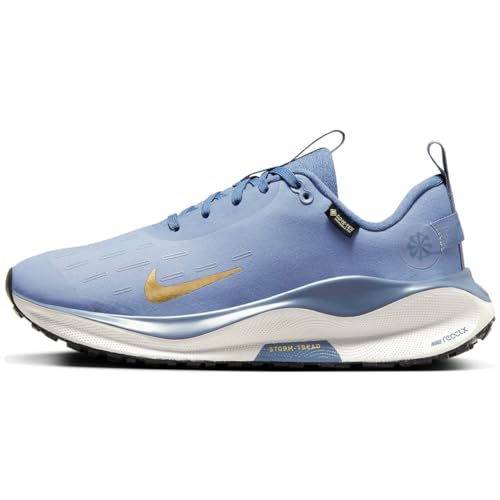 Nike InfinityRN 4 Gore-TEX Women's Waterproof Road Running Shoes (FB2197-400, Ashen Slate/Diffused Blue/Platinum Tint/Metallic Gold) Size 6