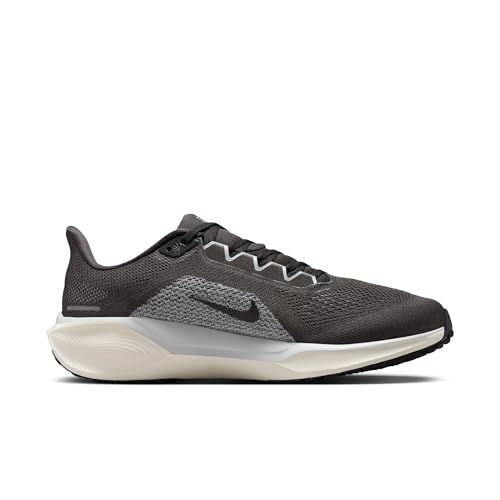 Nike Men's Pegasus 41 Medium Ash/Black/Pure Platinum 13 Medium