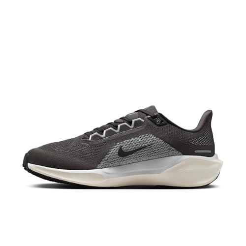 Nike Men's Pegasus 41 Medium Ash/Black/Pure Platinum 13 Medium