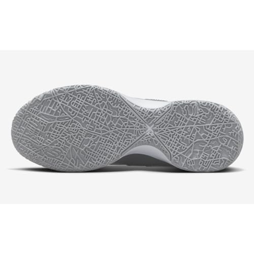 NIKE Lebron NXXT Gen Basketball Shoes (DR8784-004,Wolf Grey/White-Iron Grey-Black) Size 11