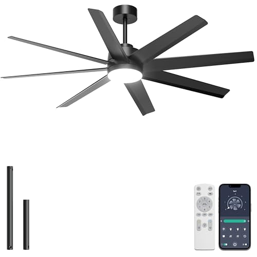 Ohniyou 60" Black Ceiling Fan with Light for Patio, Porch, Living Room