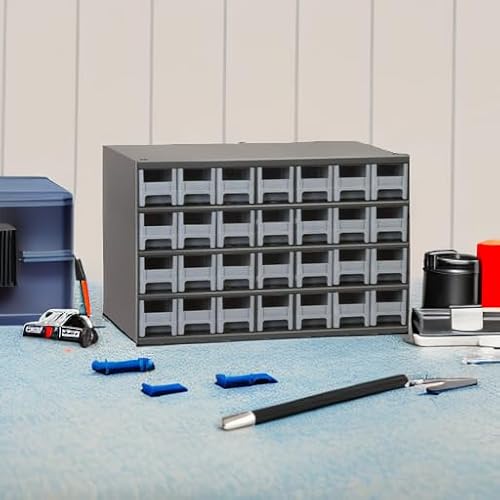 Akro-Mils Steel Garage Storage Cabinet, Small Parts Organizer Metal Cabinet for Hardware, Nails, Screws, Bolts, Nuts, and More, 17" W x 11" D x 11" H, 28-Drawer, Gray Cabinet/Gray Drawers (19228)