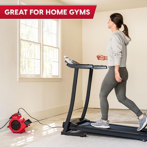 Vacmaster AM201 1101 Air Mover and Fitness Fan 550 CFM Drying and Cooling