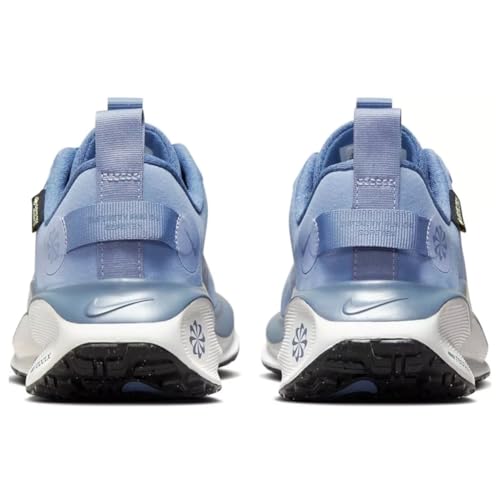 Nike InfinityRN 4 Gore-TEX Women's Waterproof Road Running Shoes (FB2197-400, Ashen Slate/Diffused Blue/Platinum Tint/Metallic Gold) Size 6