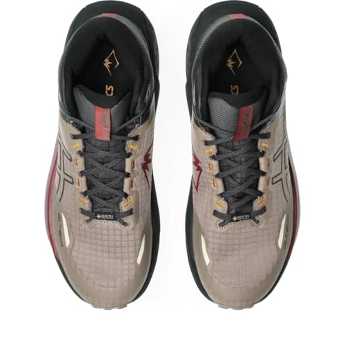 ASICS Men's Gel-Trabuco MT GTX Running Shoes, 10, Taupe Grey/Graphite Grey