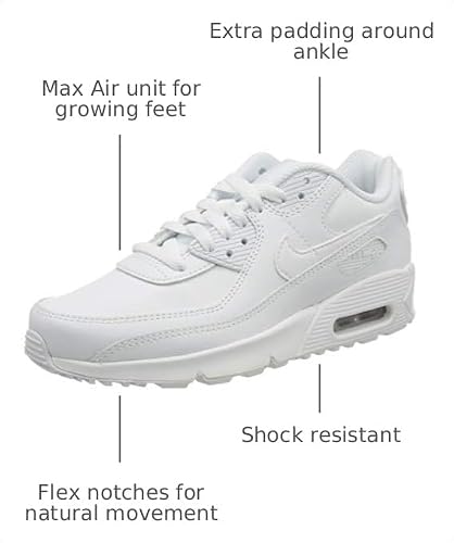 Nike Air Max 90 LTR (Big Kid)
