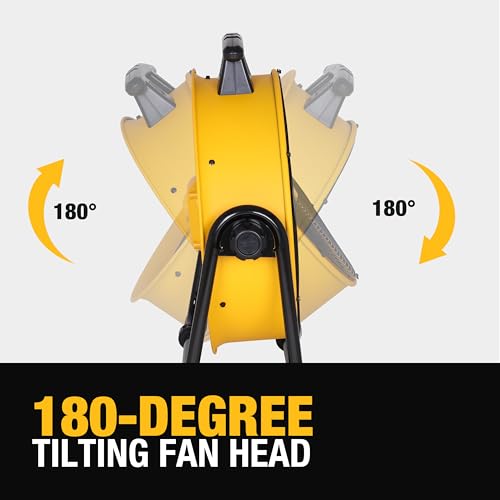 DEWALT 20 Inch Floor Fan, 180° Adjustable Tilting Drum Fan DXF2042