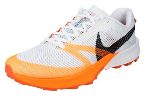 Nike Terra Kiger 10 Mens Running Trainers FV3929 Sneakers Shoes (UK 7 US 8 EU 41, White Black Photon dust 101)