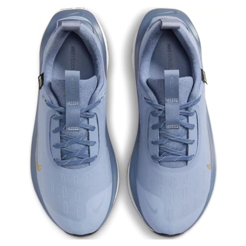 Nike InfinityRN 4 Gore-TEX Women's Waterproof Road Running Shoes (FB2197-400, Ashen Slate/Diffused Blue/Platinum Tint/Metallic Gold) Size 6