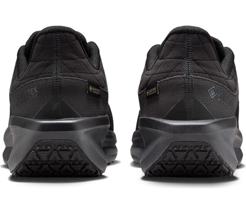 GORE-TEX Nike Winflo 11