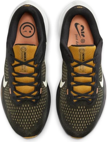 Nike Winflo 10 Men's Road Running Shoes (DV4022-009, Black/Bronzine/Amber Brown/Olive Aura) Size 8