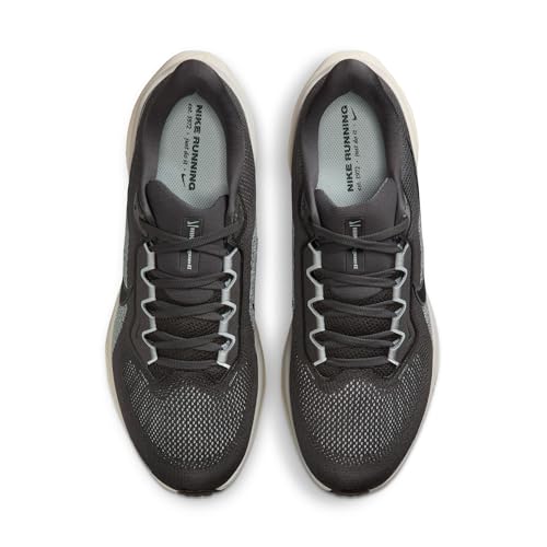 Nike Men's Pegasus 41 Medium Ash/Black/Pure Platinum 13 Medium