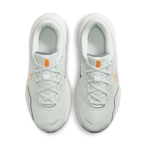 Nike Legend Essential 3 Next Nature Men's Workout Shoes (DM1120-008, Light Silver/Iron Grey/Bright Mandarin) Size 11.5