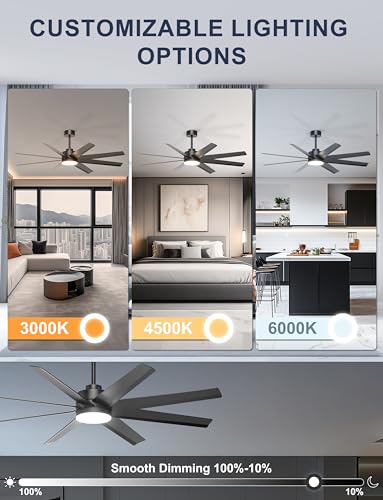 Ohniyou 60" Black Ceiling Fan with Light for Patio, Porch, Living Room