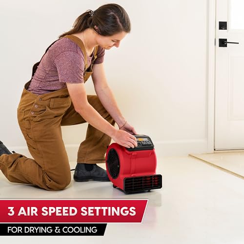 Vacmaster AM201 1101 Air Mover and Fitness Fan 550 CFM Drying and Cooling