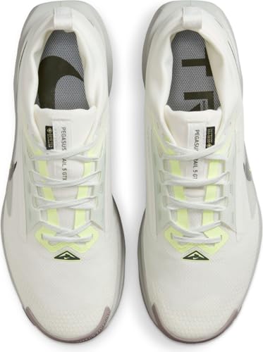 Men's React Pegasus Trail 5 GORE-TEX (102 - Summit White/Sequoia-Light Silver)
