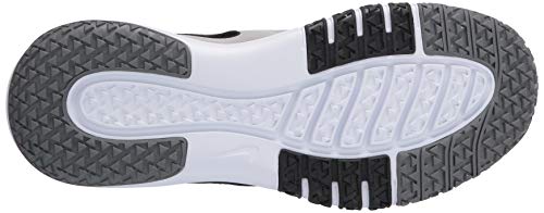 Nike Men's Nike Flex Control TR4 Athletic Shoe, Light Smoke Grey/Blacksmoke Grey-Dark Smoke Greywhite, 10 Regular US