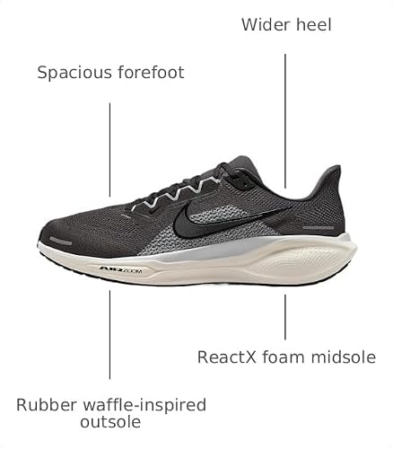 Nike Men's Pegasus 41 Medium Ash/Black/Pure Platinum 13 Medium