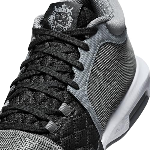 NIKE Lebron Witness 8 Basketball Shoes (FB2239-004, Cool Grey/Black/White) Size 10