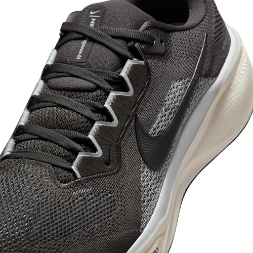 Nike Men's Pegasus 41 Medium Ash/Black/Pure Platinum 13 Medium