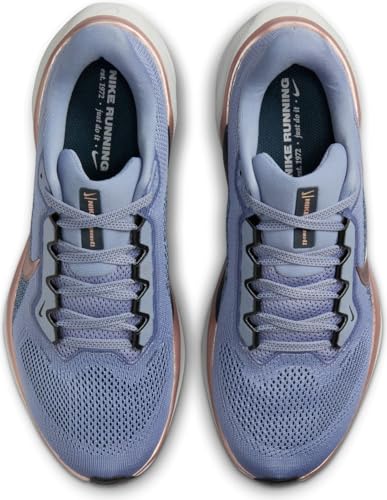 Nike Pegasus 41 Women's Road Running Shoes (FD2723-403, Ashen Slate/Armory Navy/B) Size 6.5