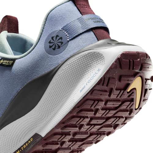 Nike InfinityRN 4 Gore-TEX Men's Waterproof Road Running Shoes (HQ0265-400, Ashen Slate/Light Pumice/Dark Smoke Grey/Football) Size 7.5
