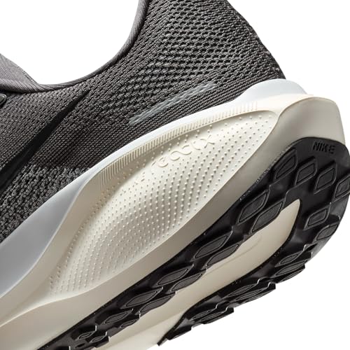 Nike Men's Pegasus 41 Medium Ash/Black/Pure Platinum 13 Medium